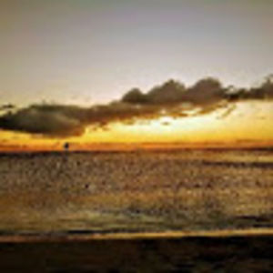 Meet your Posher, Alejandro